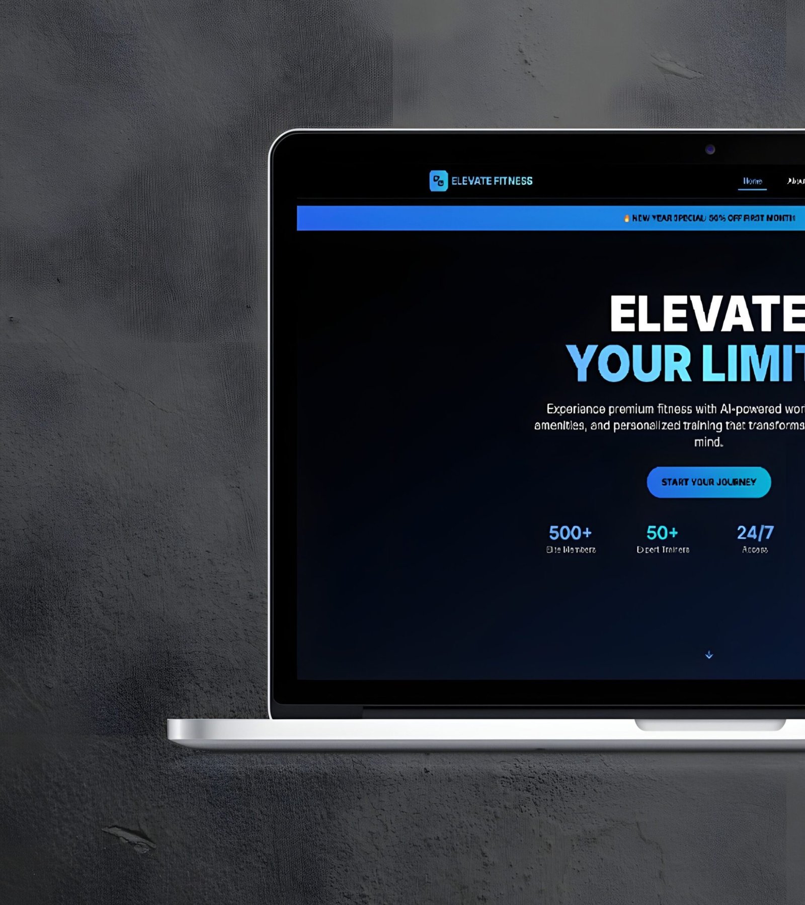 Web Development Innovodex